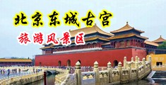 美女被强奸到高潮喷水中国北京-东城古宫旅游风景区